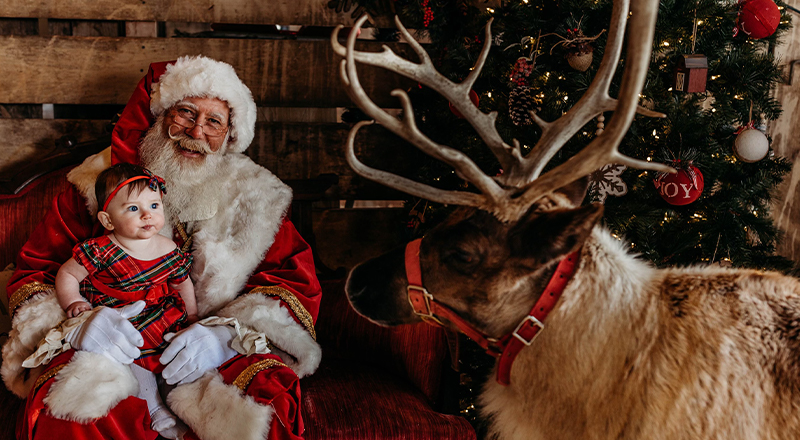 Characters and Costumes